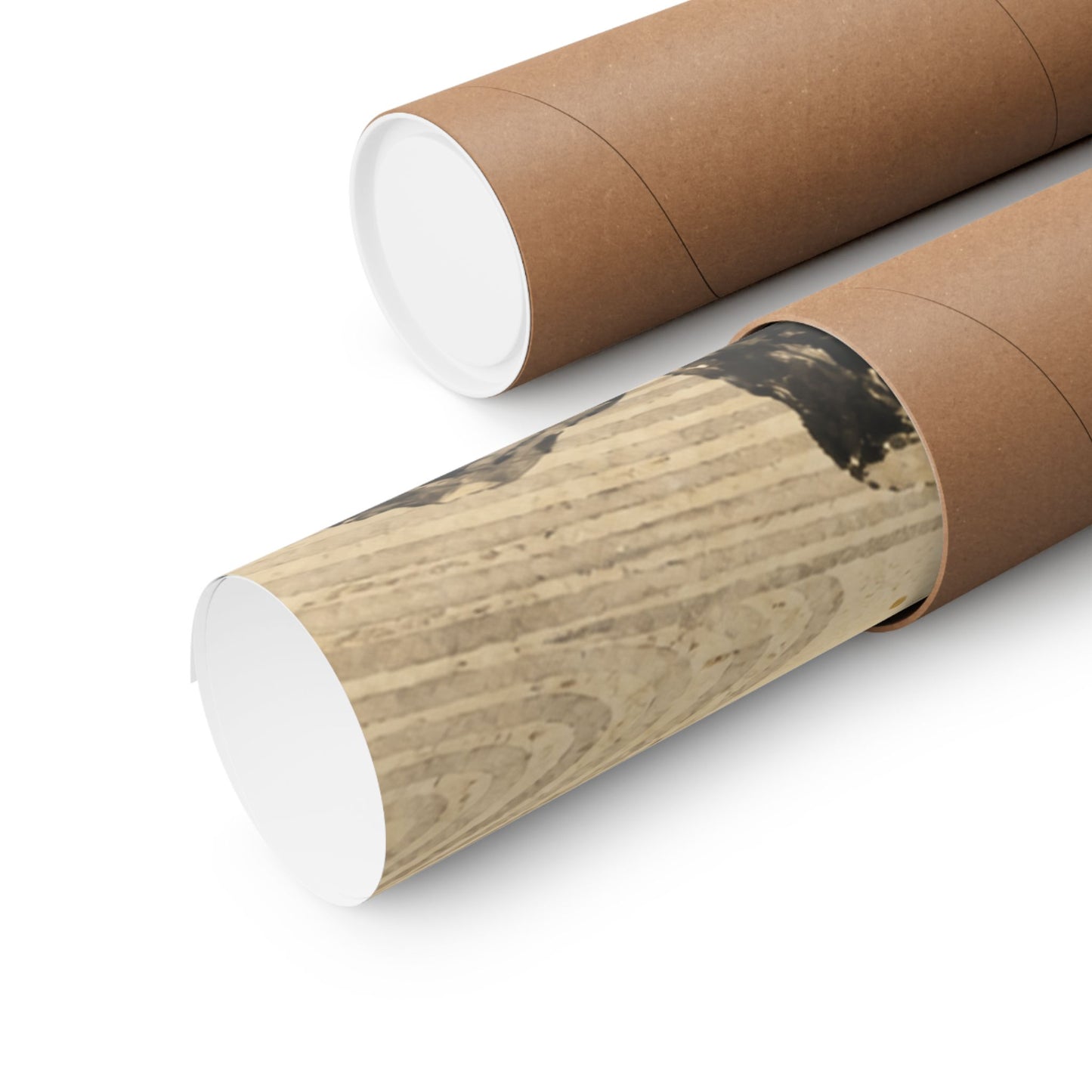 Contemplative Bamboo Grove Wall Art Print - Karesansui Zen