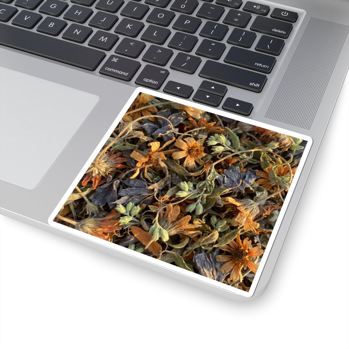 Dried Flowers Spring Sticker | Japandi Cozy Design Art Print
