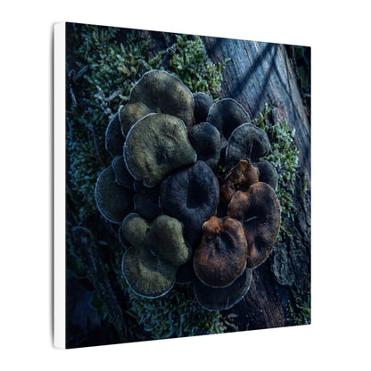 Wild Mushrooms Moody Minimal Canvas Art | Moody Dark Japandi Art