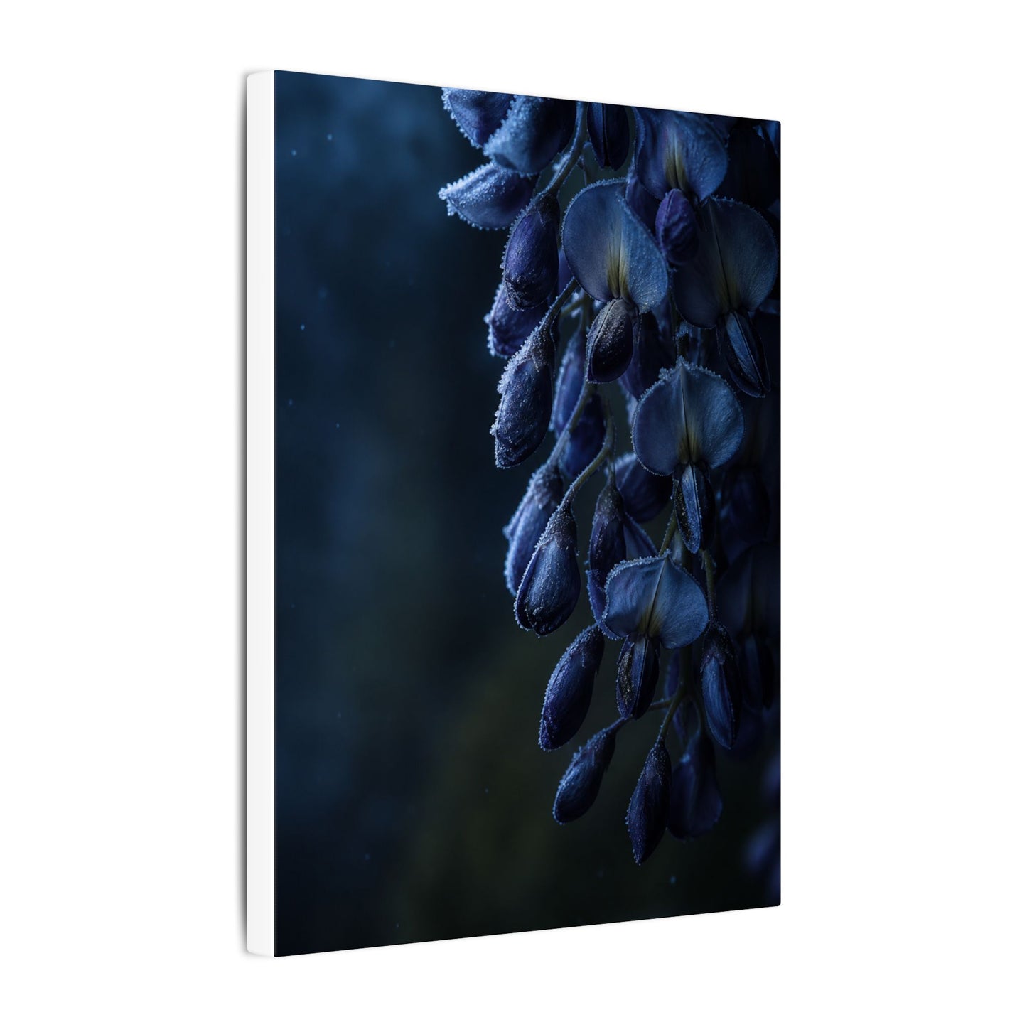 Winter Wisteria Shadow Zen Canvas Art | Atmospheric Decor