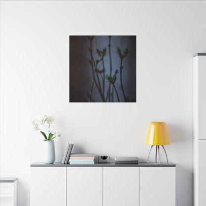Shadow Play Spring Canvas Art | Dark Japandi Sophisticated Design