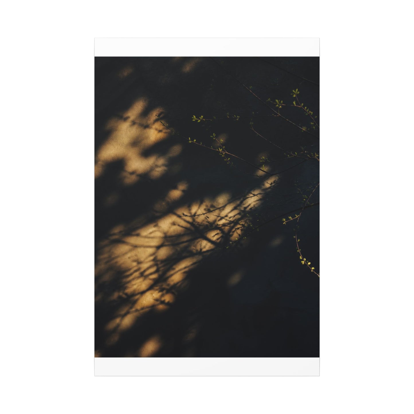 Moody Shadow Play Canvas Art - Moody Minimal Dark Japandi