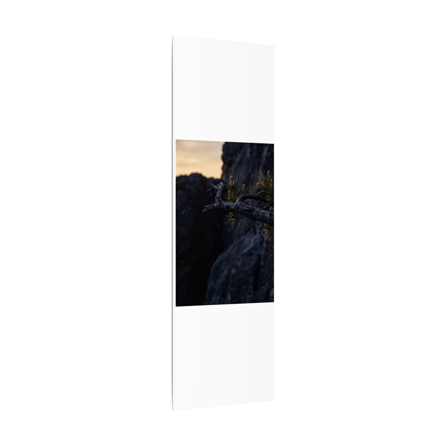 Pine Tree Moody Minimal Canvas Art | Sophisticated Dark Japandi Art