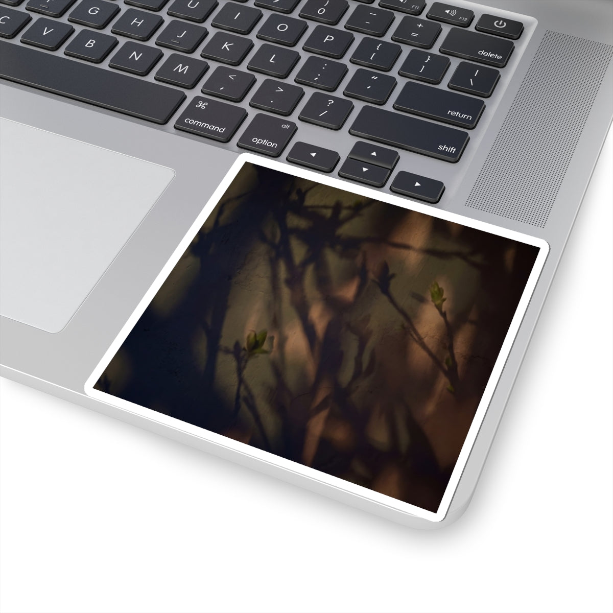 Shadow Play Sticker | Spring Dark Japandi Moody Minimal Art