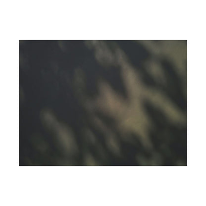 Dappled Shadow Play Canvas Art - Dark Japandi Ma
