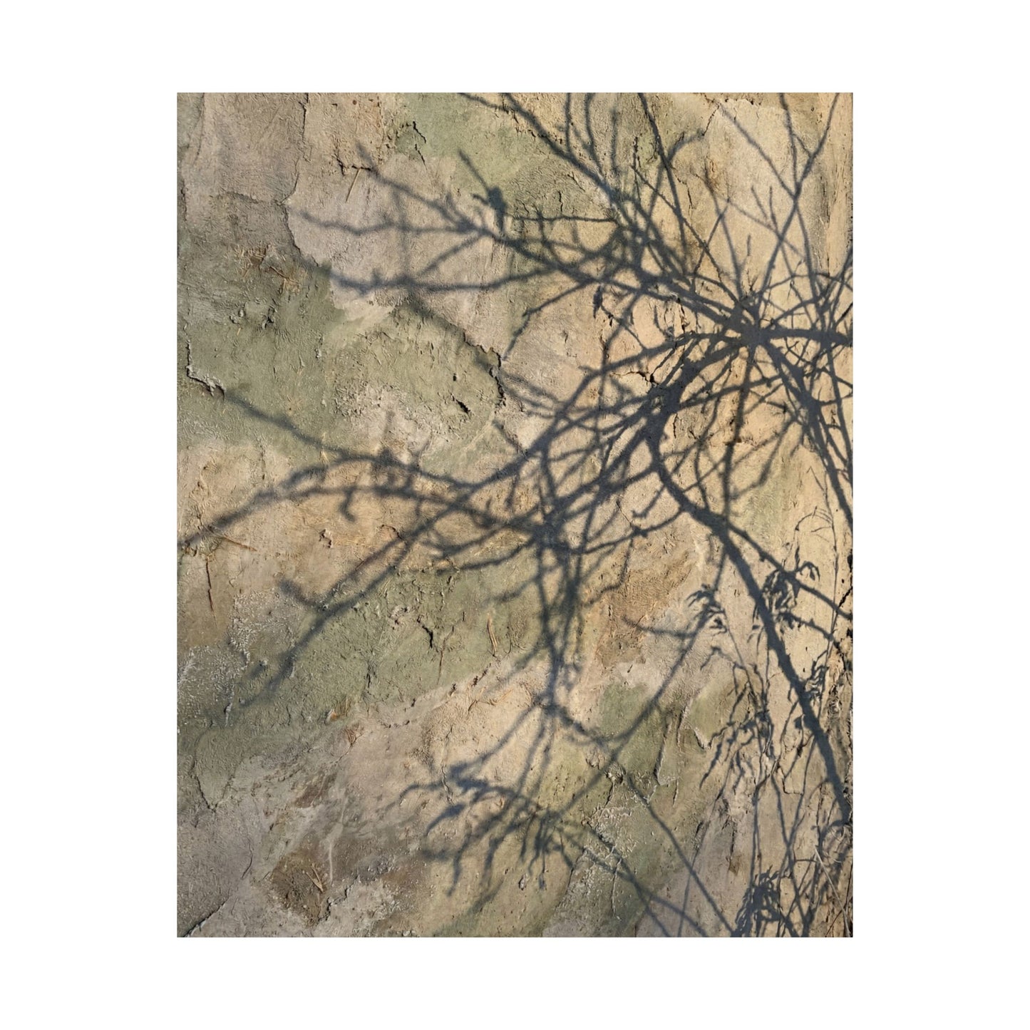 Shadow Play Winter Wall Art Print | Japandi Earthy Design