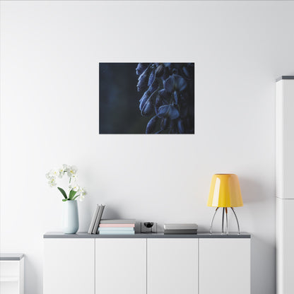 Winter Wisteria Shadow Zen Canvas Art | Atmospheric Decor