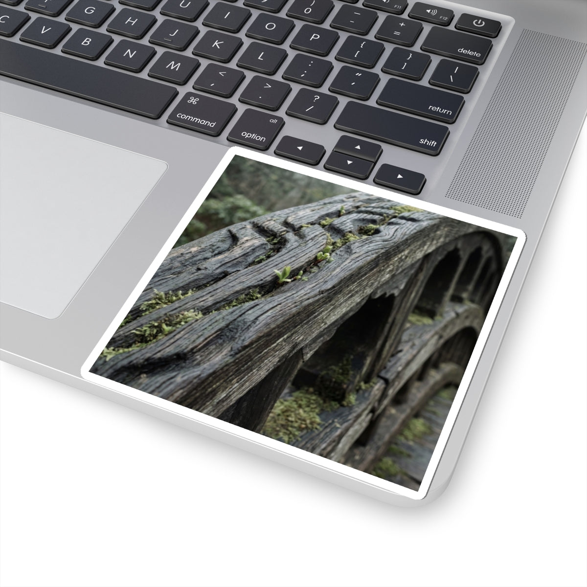 Wooden Bridge Spring Sticker | Japandi Earthy Design Art Print