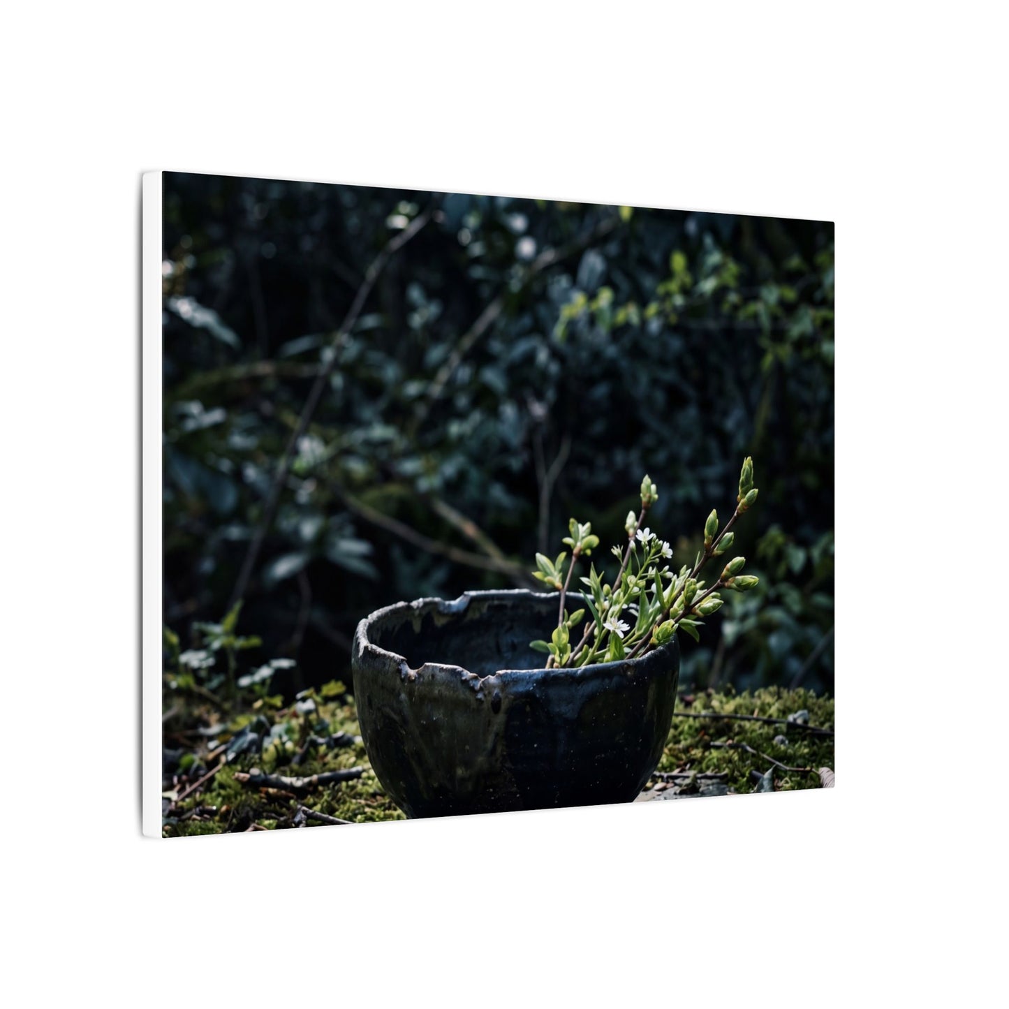 Dappled Ceramic Bowl Canvas Art - Dark Japandi Datsuzoku