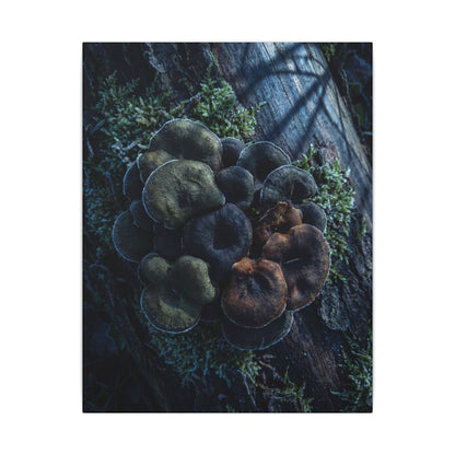 Wild Mushrooms Moody Minimal Canvas Art | Moody Dark Japandi Art