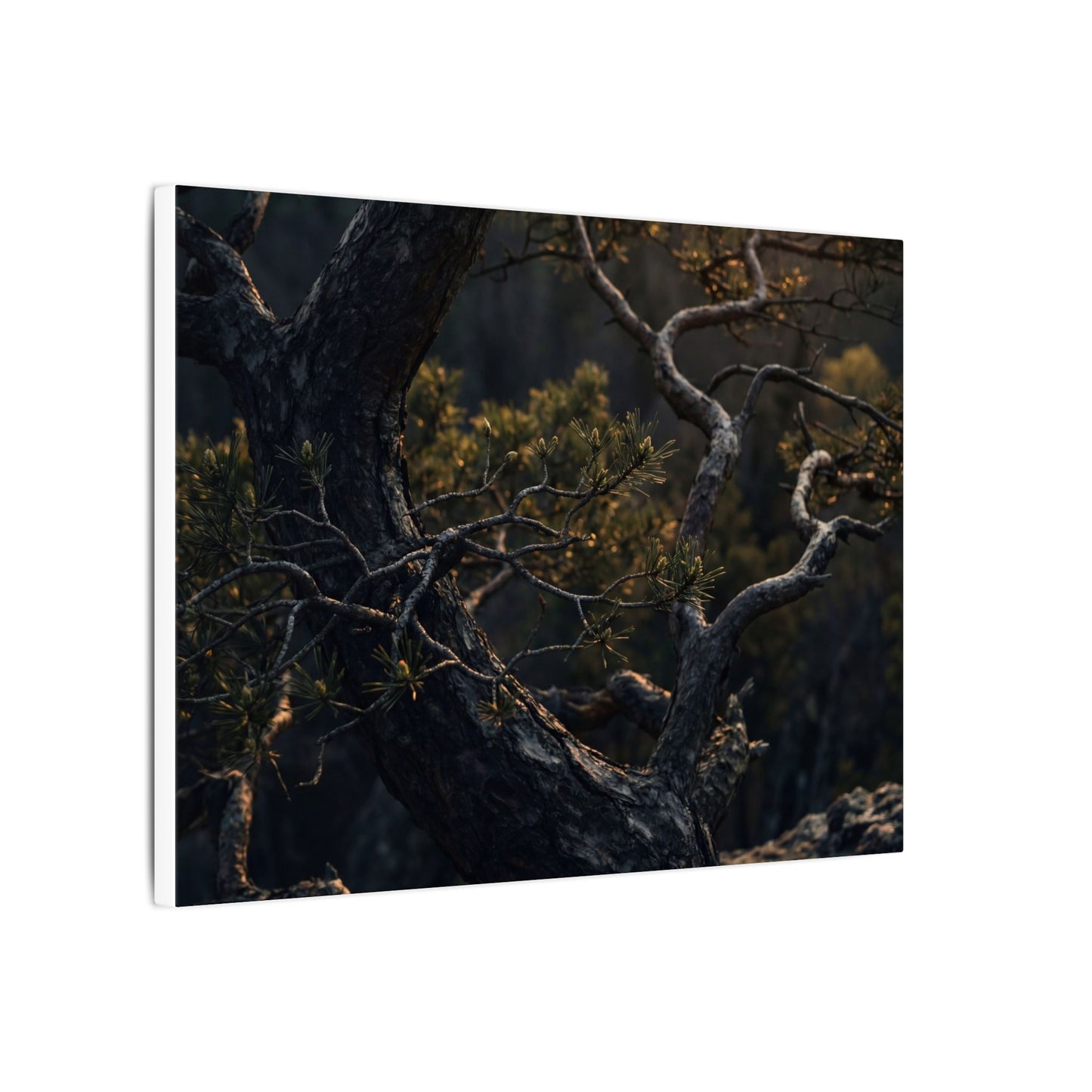Moody Pine Tree Canvas Art - Moody Minimal Dark Japandi