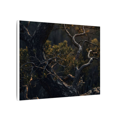 Moody Pine Tree Canvas Art - Moody Minimal Dark Japandi