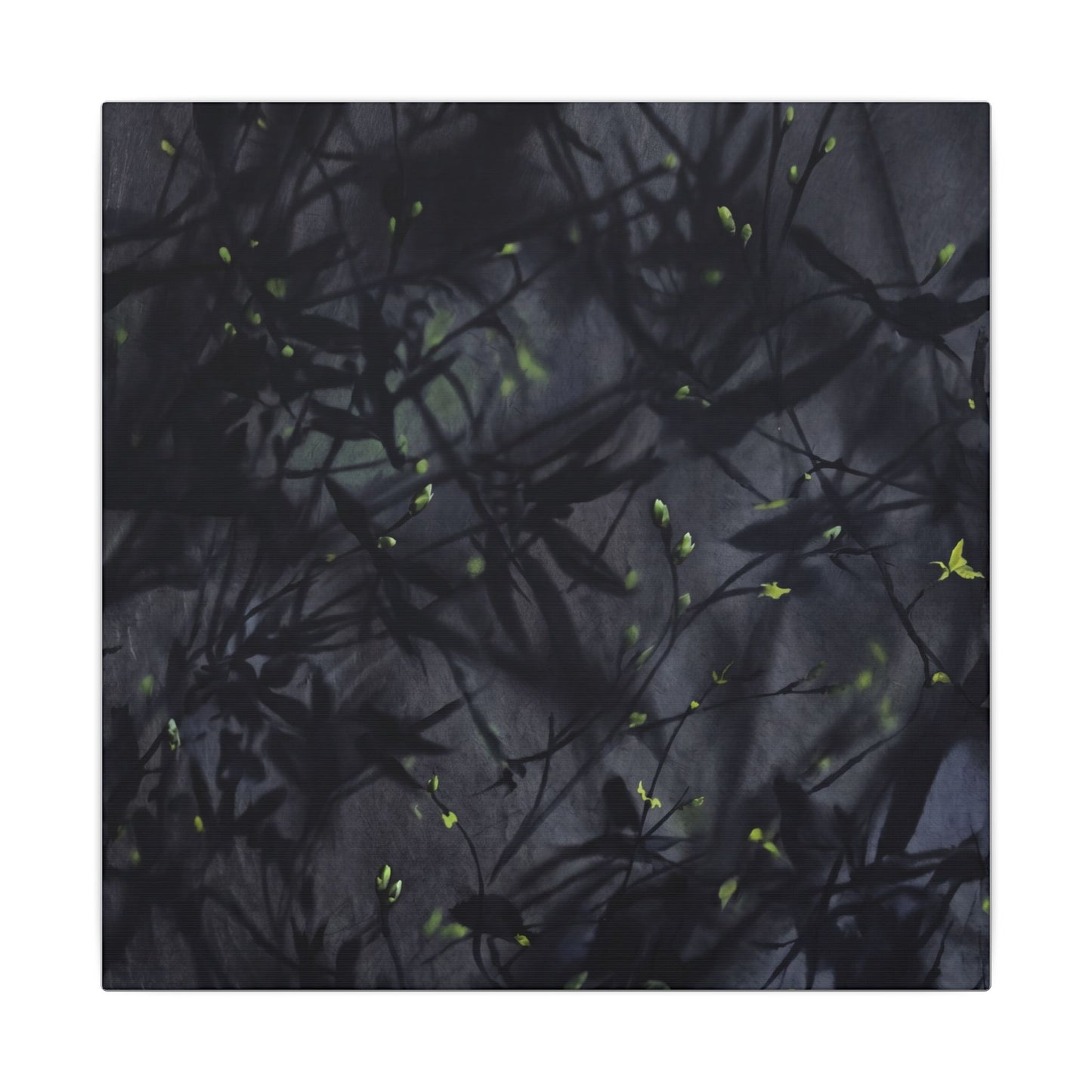 Shadow Play Spring Canvas Art | Dark Japandi Atmospheric Design