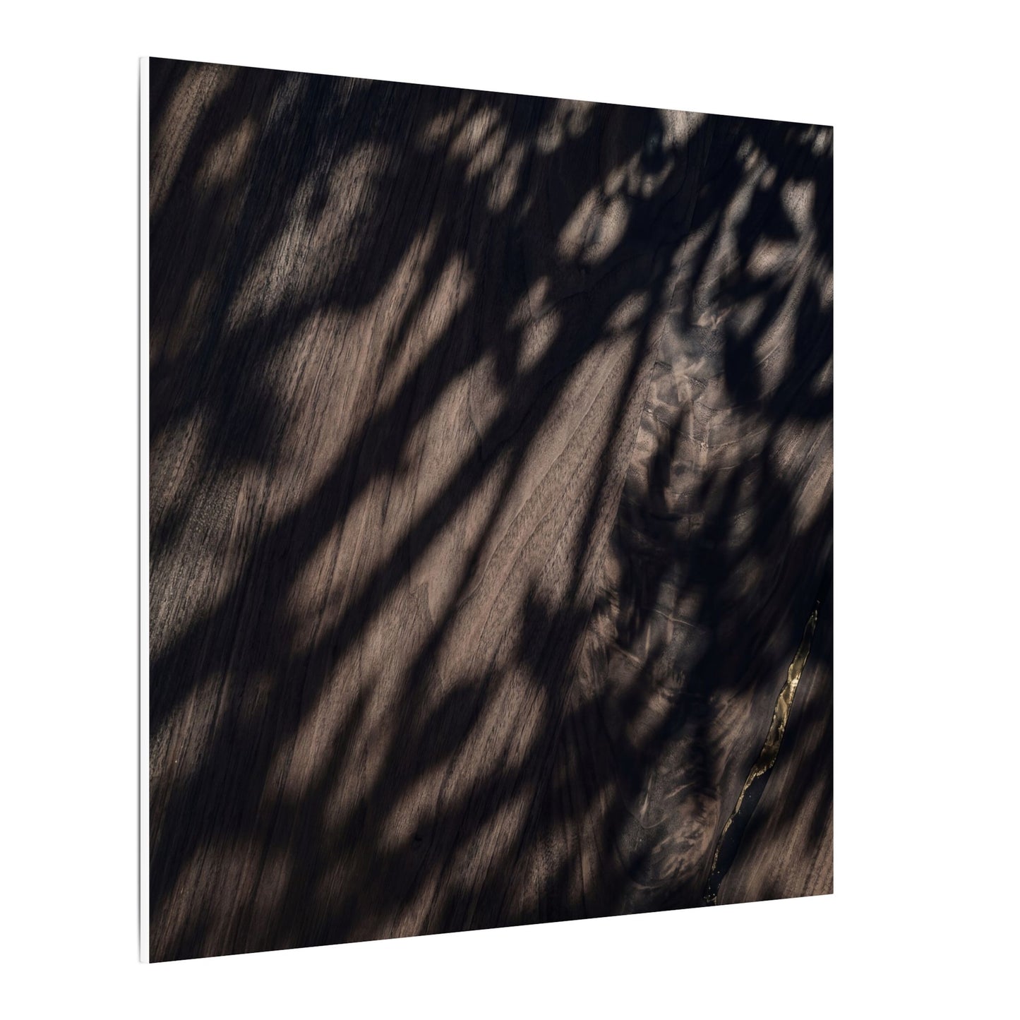 Shadow Play Summer Canvas Art | Dark Japandi Moody Design