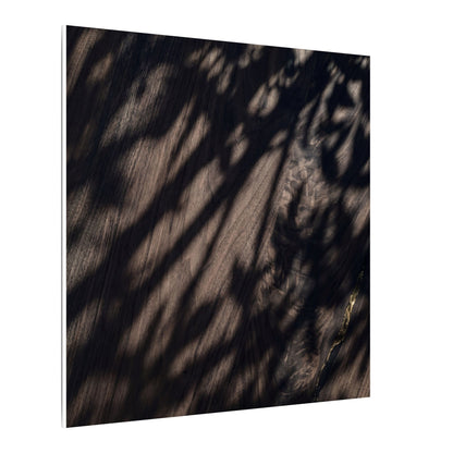 Shadow Play Summer Canvas Art | Dark Japandi Moody Design