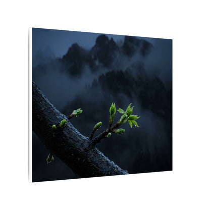 Moonlight Mountain Mist Canvas Art - Dark Japandi Kanso