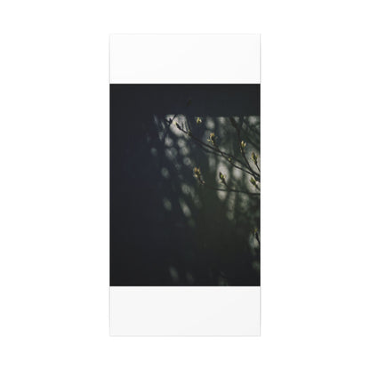 Dark Japandi Shoji Screen in Dappled | Moody Minimal Canvas Art
