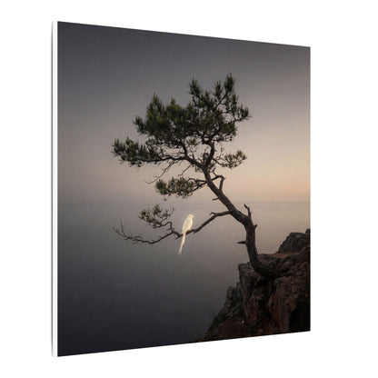 Dawn Pine Tree Canvas Art - Dark Japandi Datsuzoku