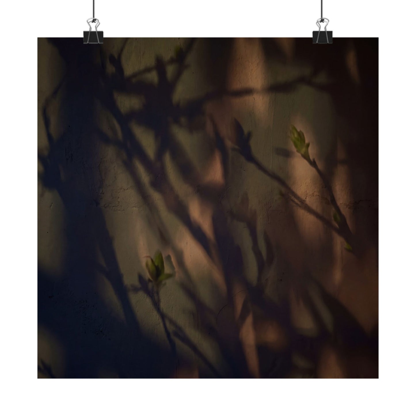 Shadow Play Spring Wall Art Print | Dark Japandi Sophisticated Design