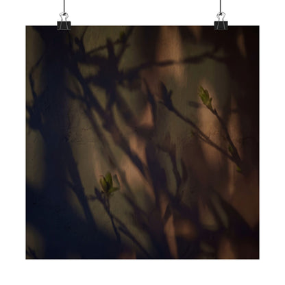 Shadow Play Spring Wall Art Print | Dark Japandi Sophisticated Design