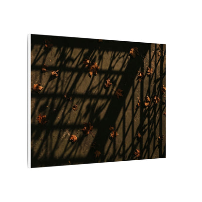 Dark Japandi Shadow Play in Golden Hour | Moody Minimal Canvas Art