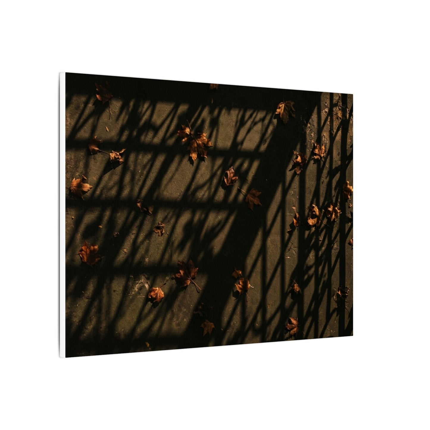 Shadow Play Canvas Art | Autumn Dark Japandi Moody Minimal Art