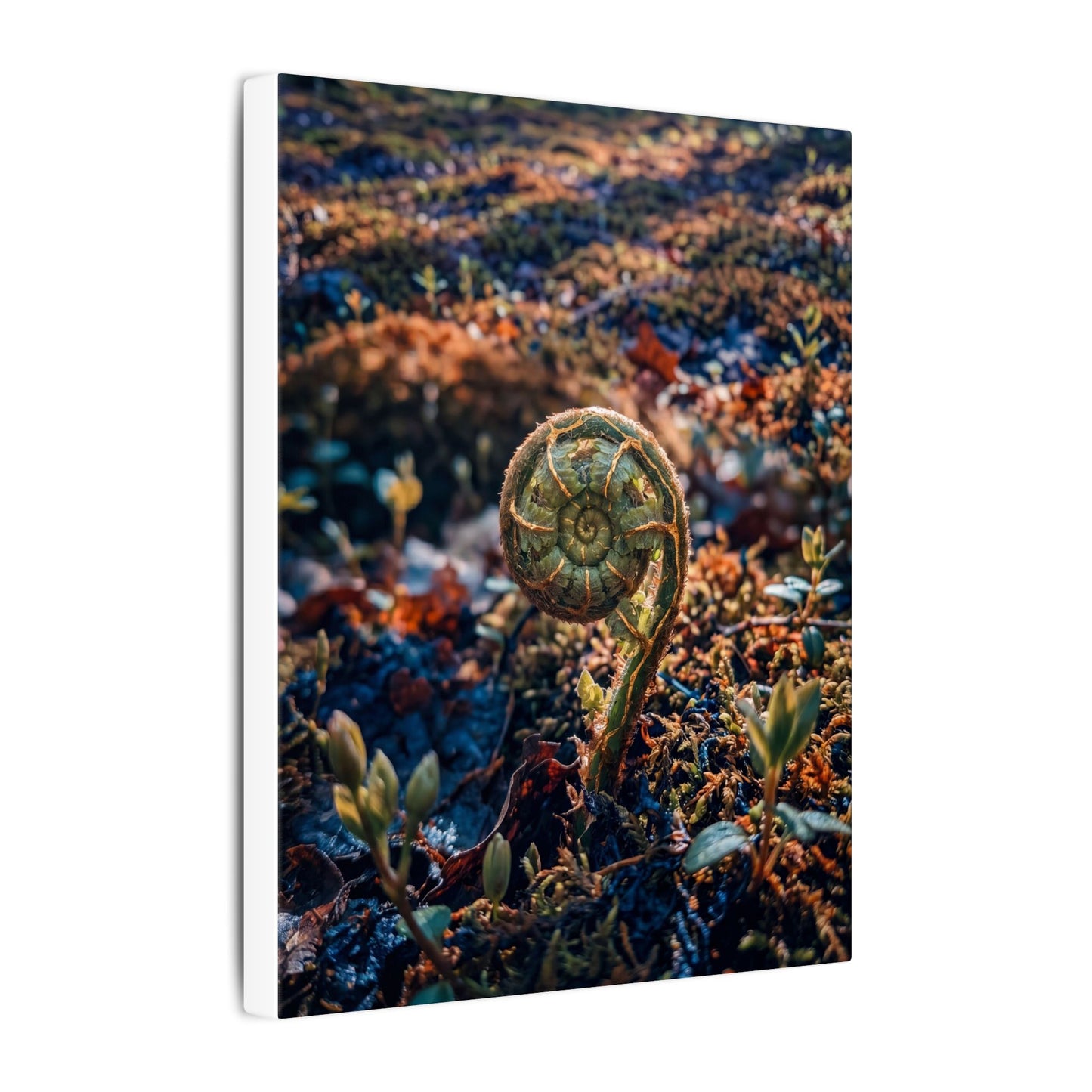 Kintsugi Fern Unfurling in Dappled | Gold Vein Canvas Art