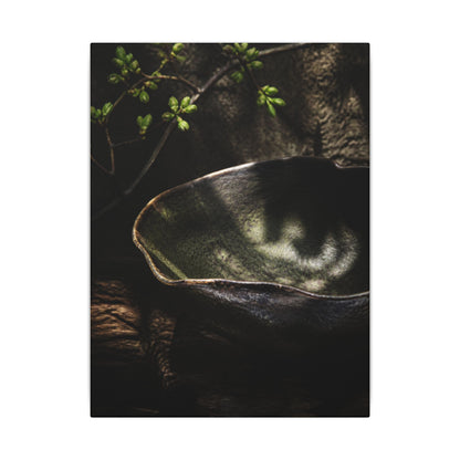 Sophisticated Ceramic Bowl Canvas Art - Dark Texture Dark Japandi