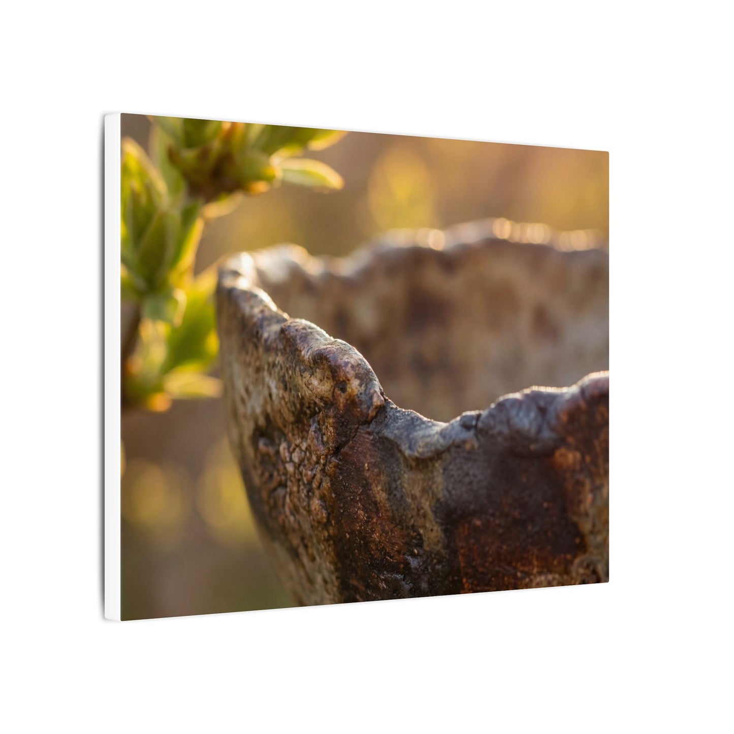 Golden Hour Ceramic Bowl Canvas Art - Dark Japandi Ma