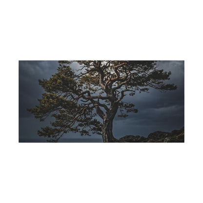 Dappled Pine Tree Canvas Art - Dark Japandi Fukinsei