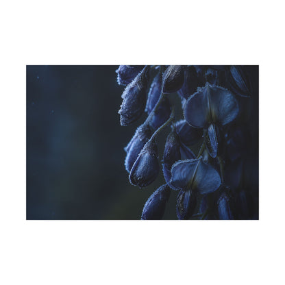 Winter Wisteria Shadow Zen Canvas Art | Atmospheric Decor