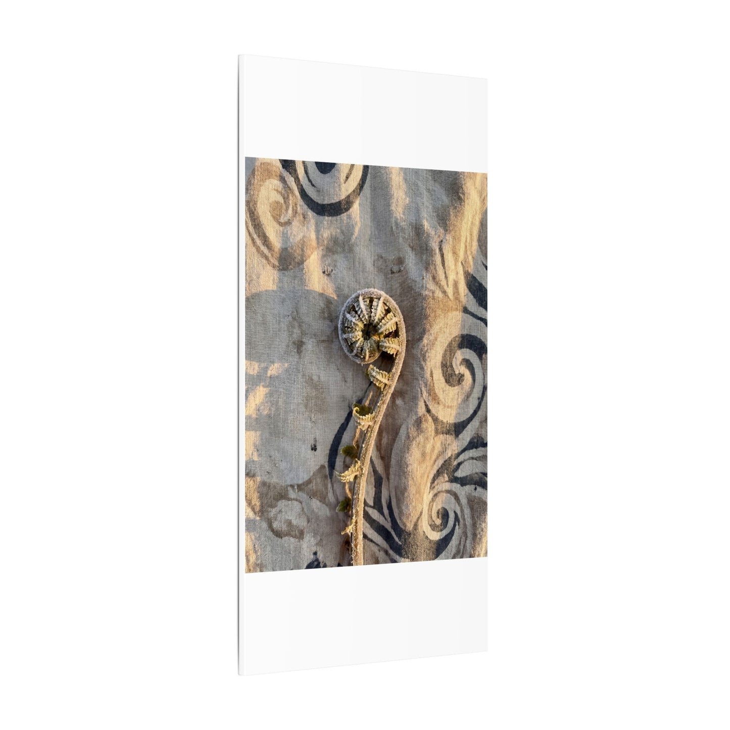 Fern Unfurling Canvas Art | Winter Japandi Japanese Pattern Art