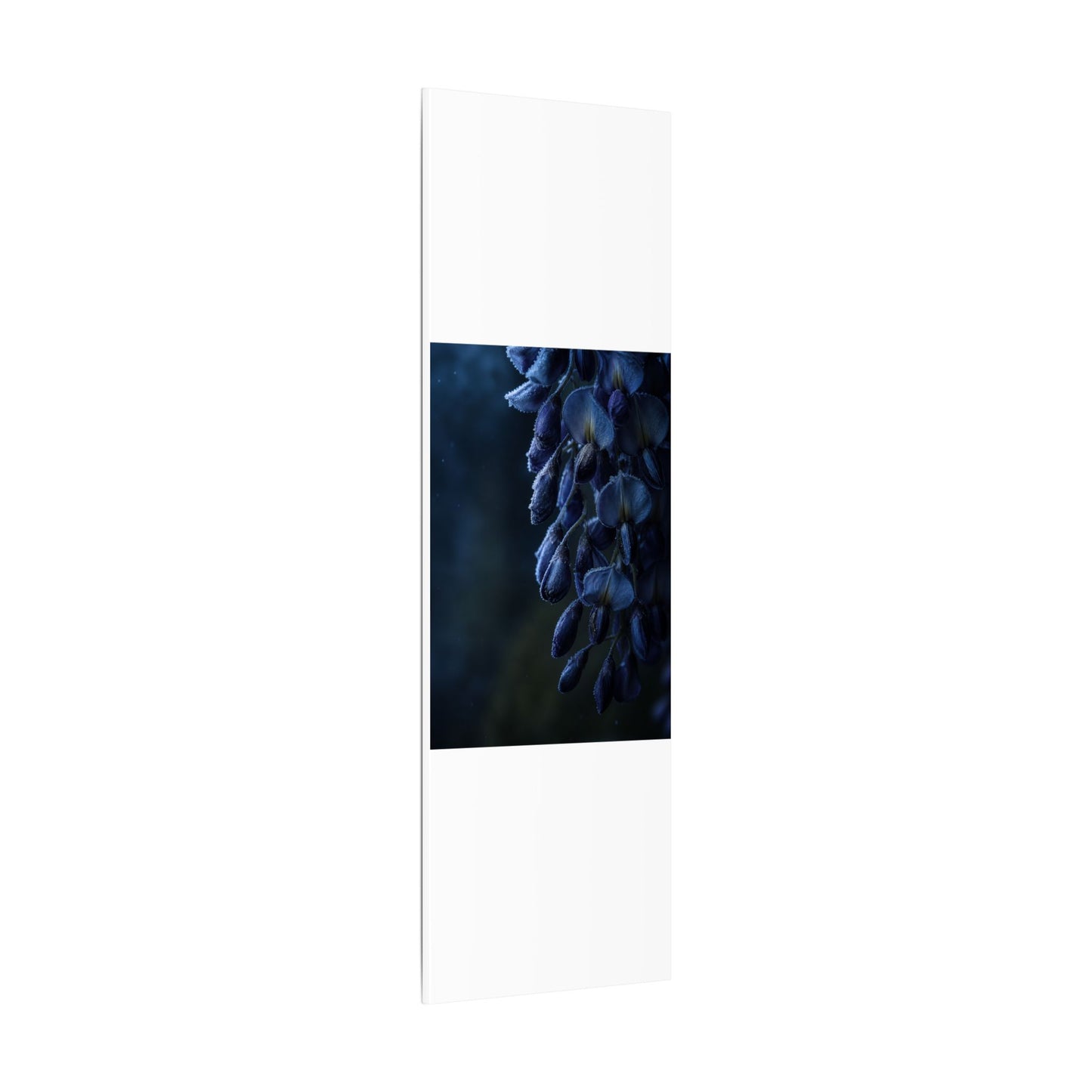 Winter Wisteria Shadow Zen Canvas Art | Atmospheric Decor