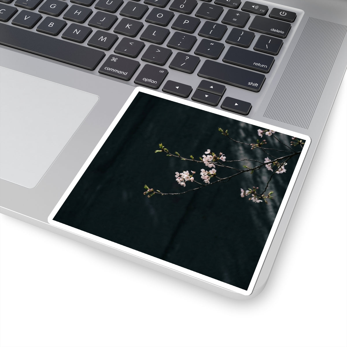 Cherry Blossom Moody Minimal Sticker | Bold Dark Japandi Art Art Print