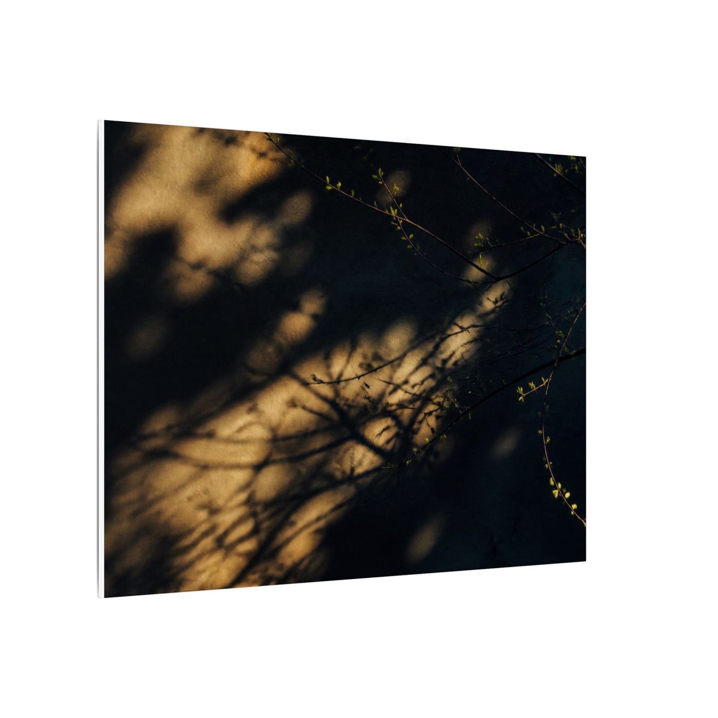 Moody Shadow Play Canvas Art - Moody Minimal Dark Japandi