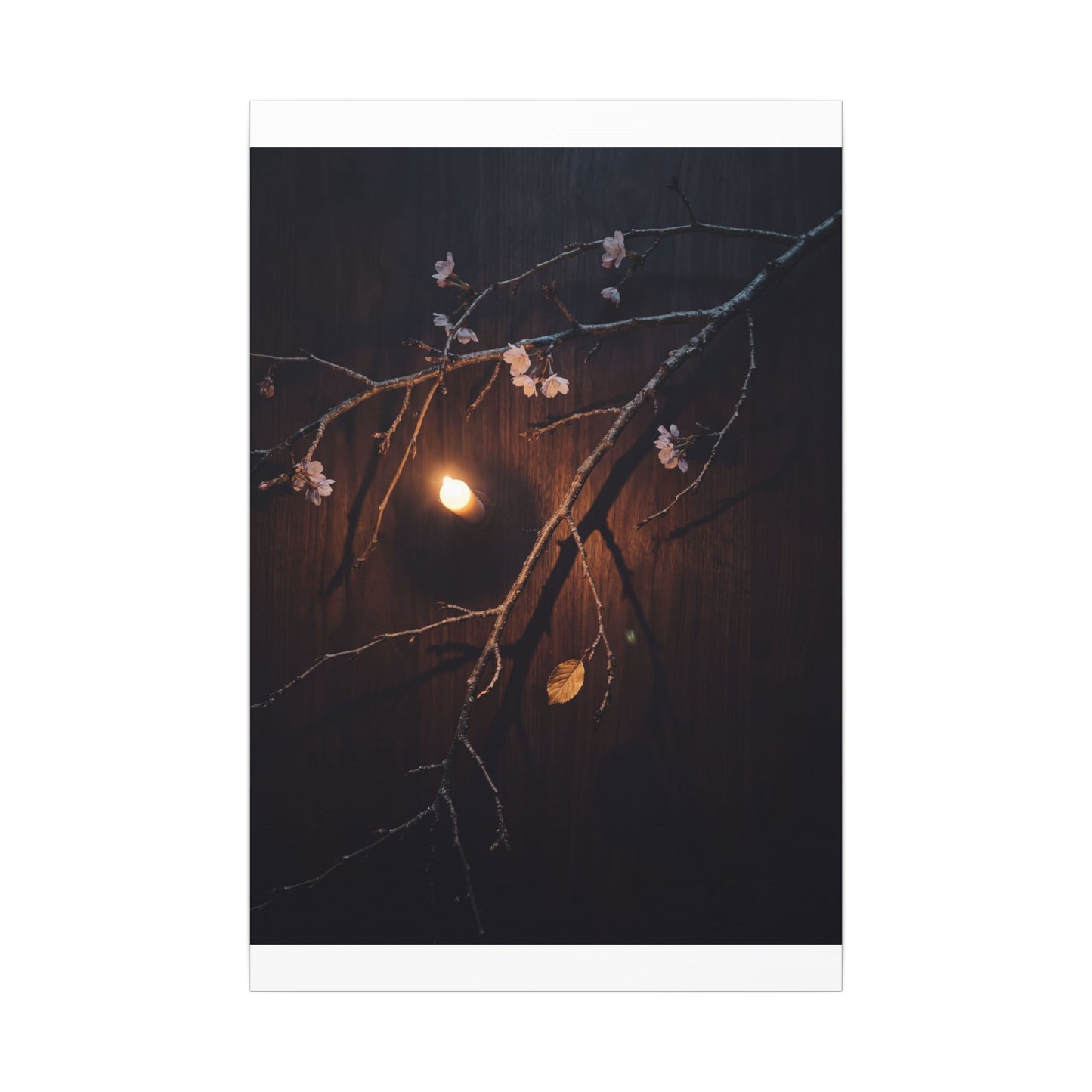 Datsuzoku Cherry Blossom Canvas Art - Dark Japandi Moody Minimal