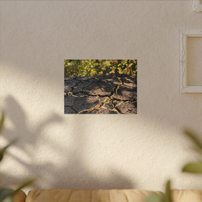 Shibui Cracked Earth Canvas Art - Kintsugi Gold Repair