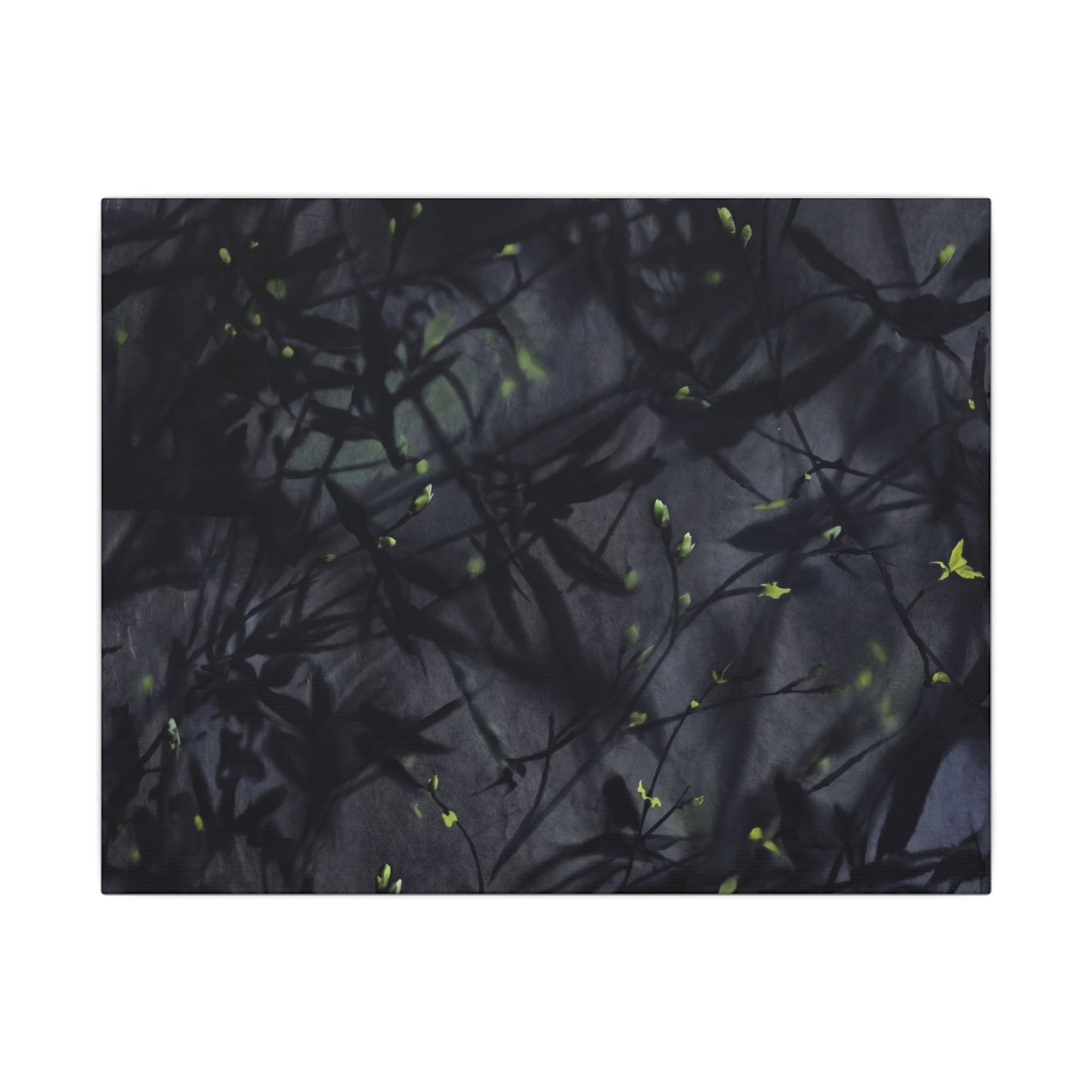 Shadow Play Spring Canvas Art | Dark Japandi Atmospheric Design