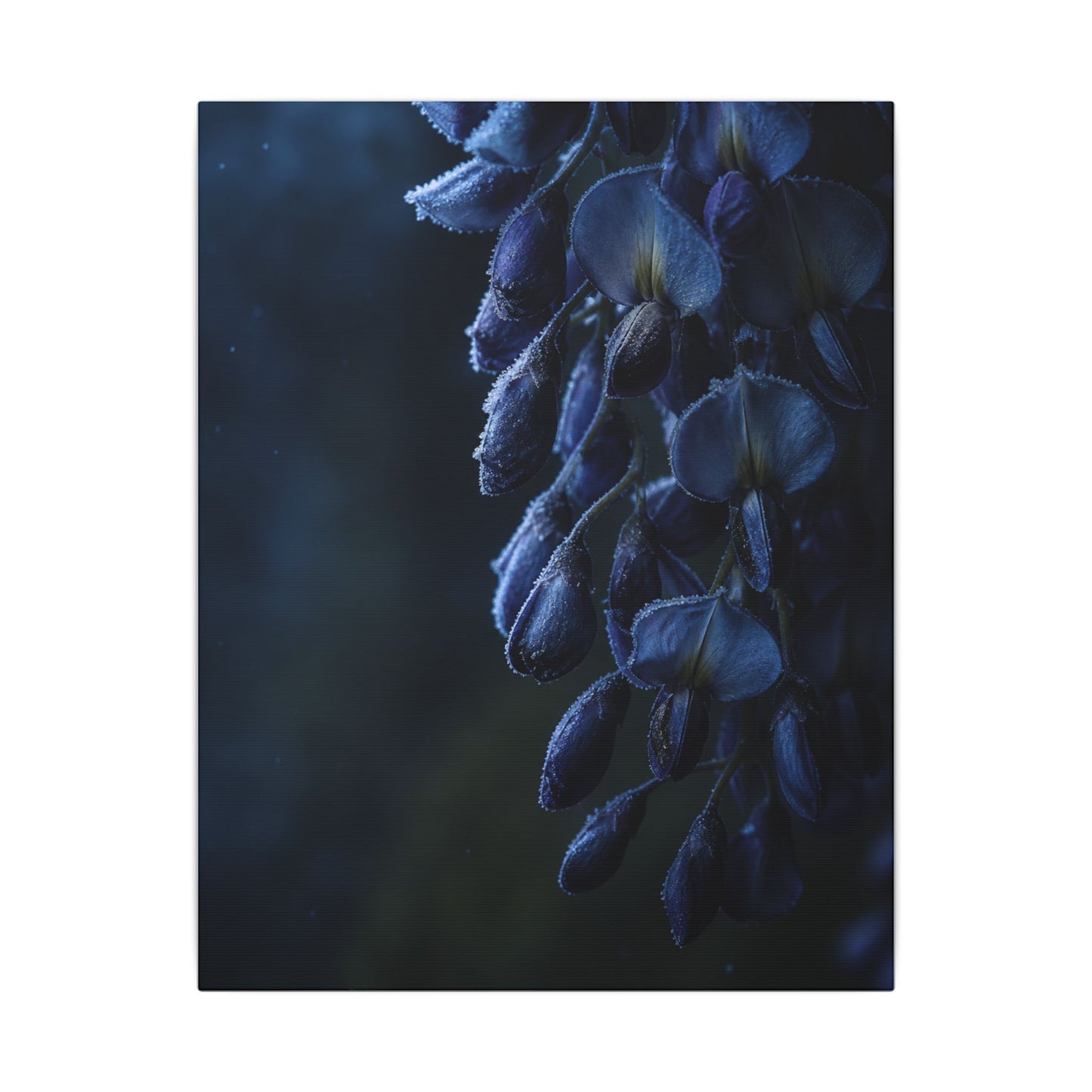 Winter Wisteria Shadow Zen Canvas Art | Atmospheric Decor