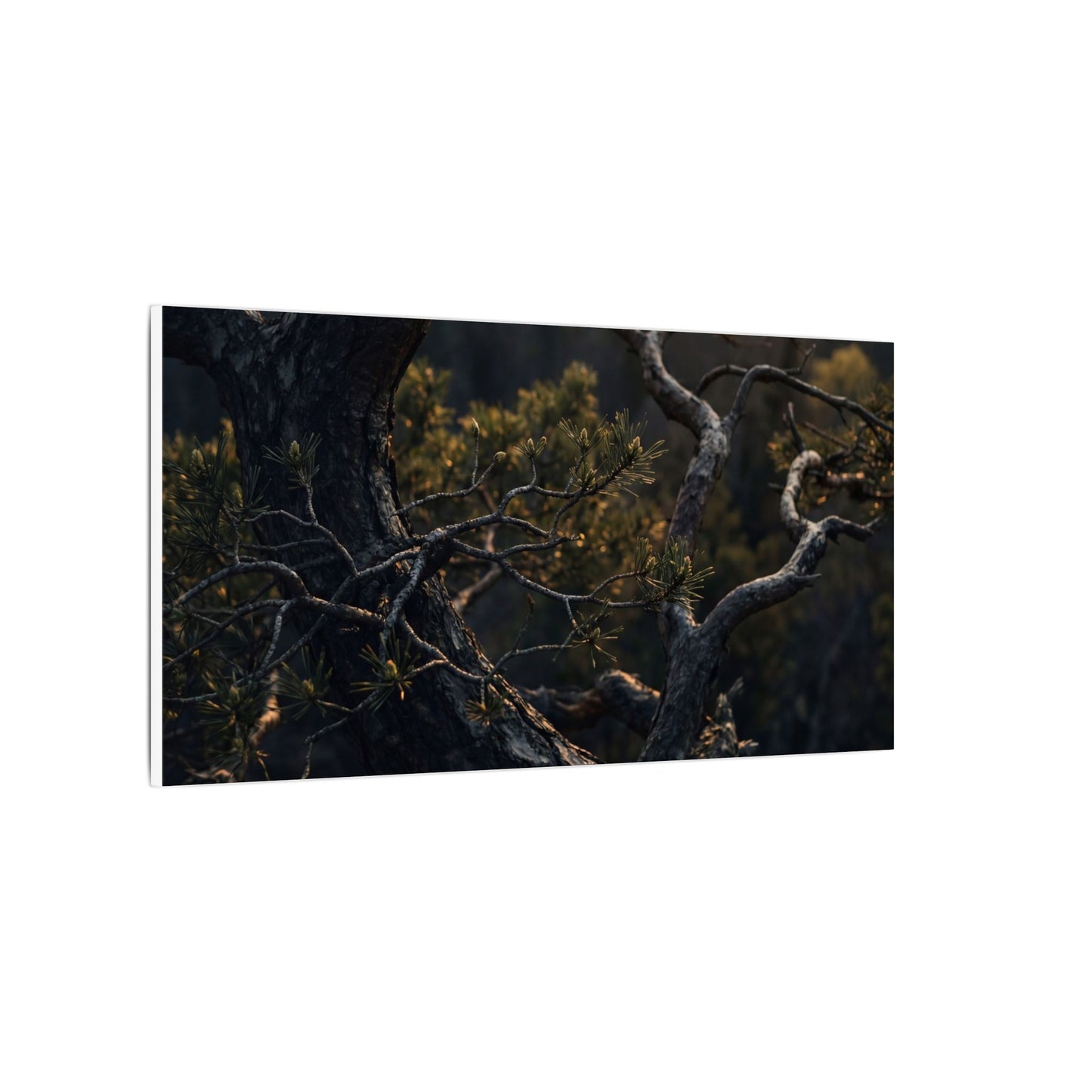 Moody Pine Tree Canvas Art - Moody Minimal Dark Japandi