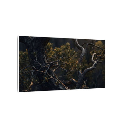 Moody Pine Tree Canvas Art - Moody Minimal Dark Japandi
