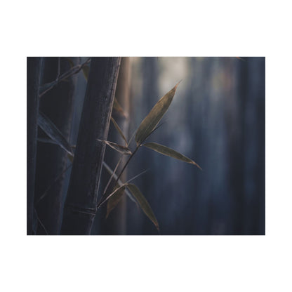 Dark Japandi Bamboo Grove in Dawn | Moody Minimal Canvas Art