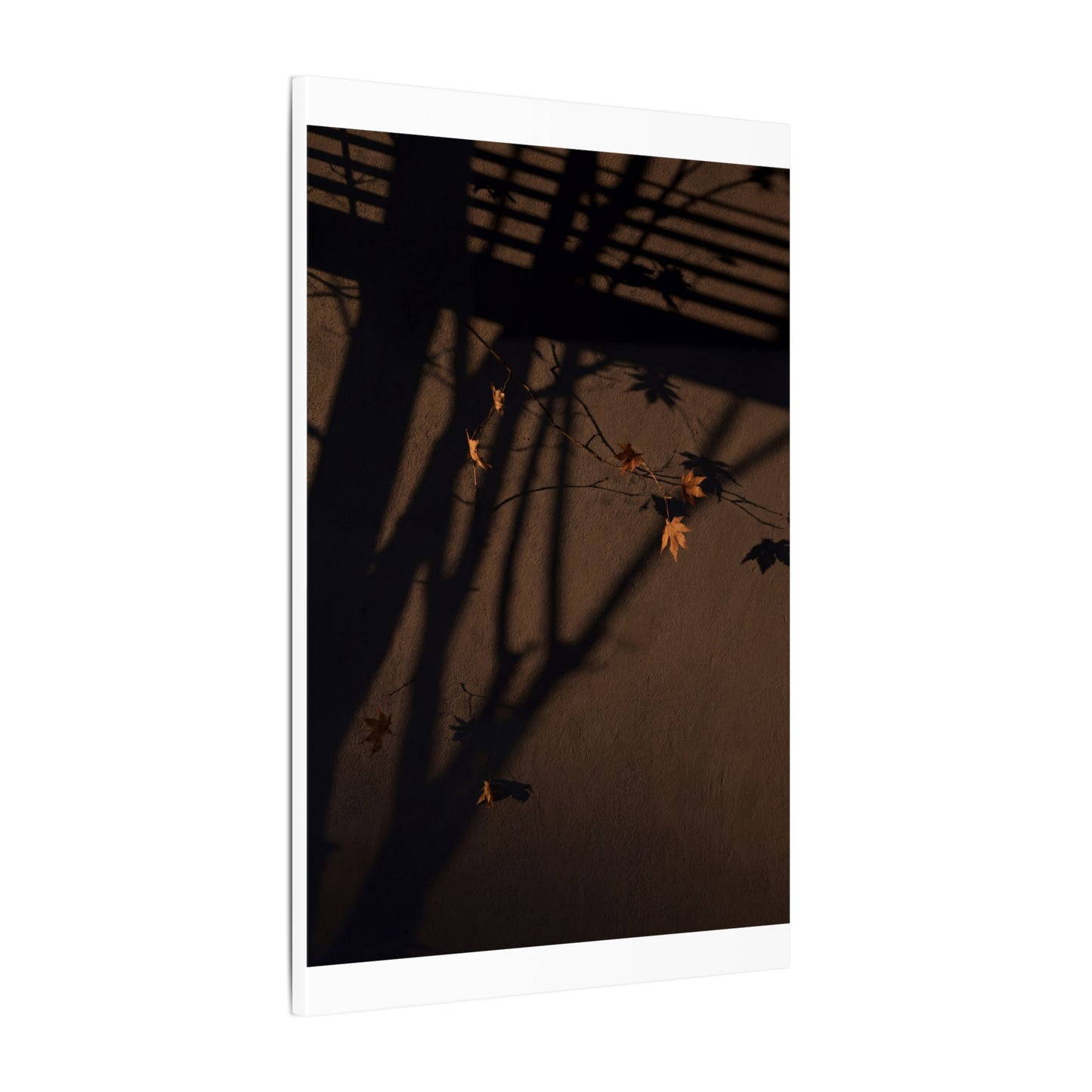 Shadow Play Autumn Canvas Art | Dark Japandi Luxurious Design