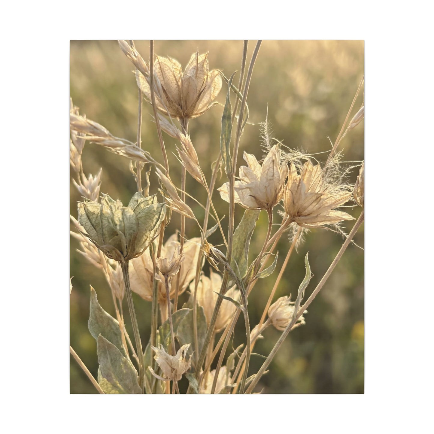 Summer Dried Flowers Minimal Line Canvas Art | Cozy Decor