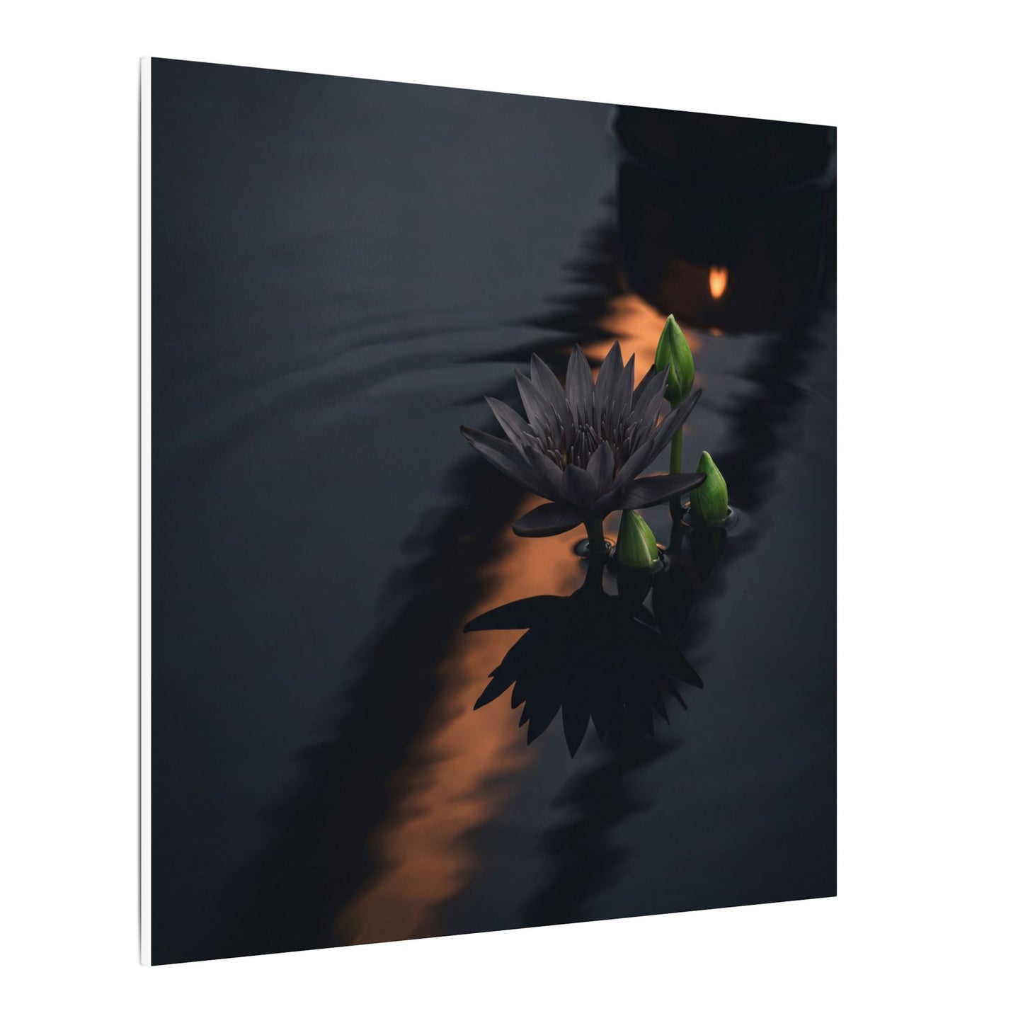 Seijaku Lotus Flower Canvas Art - Dark Japandi Shadow Zen