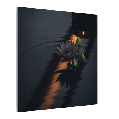 Seijaku Lotus Flower Canvas Art - Dark Japandi Shadow Zen