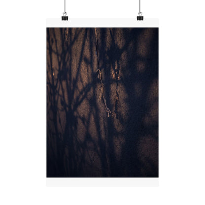 Golden Hour Shadow Play Wall Art Print - Dark Japandi Mono No Aware