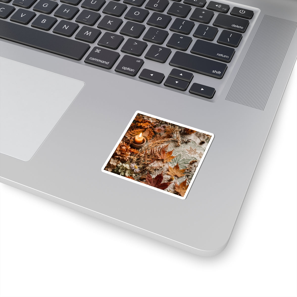 Dried Flowers Sticker | Autumn Japandi Japanese Pattern Art