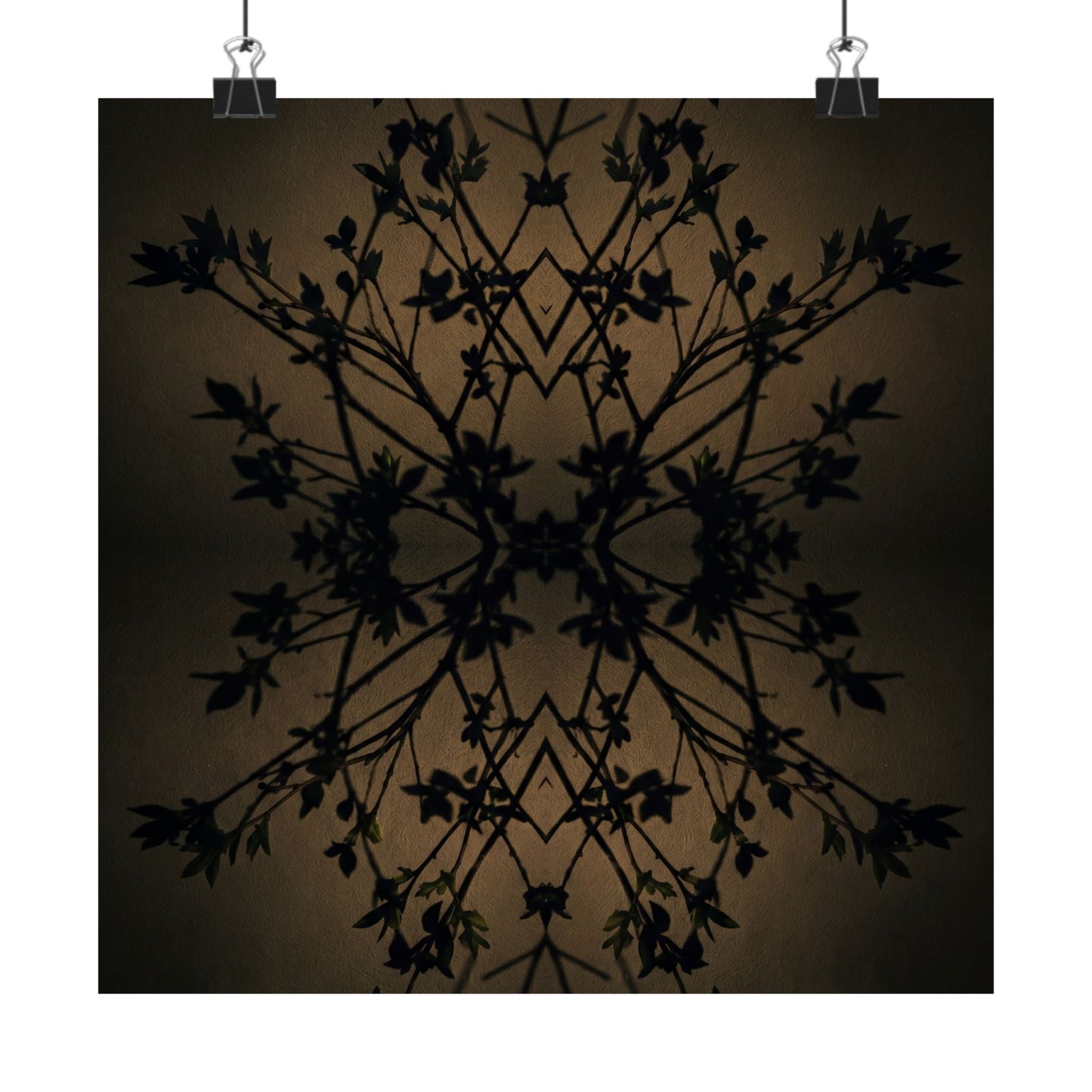 Shadow Play Wall Art Print | Spring Dark Japandi Shadow Zen Art