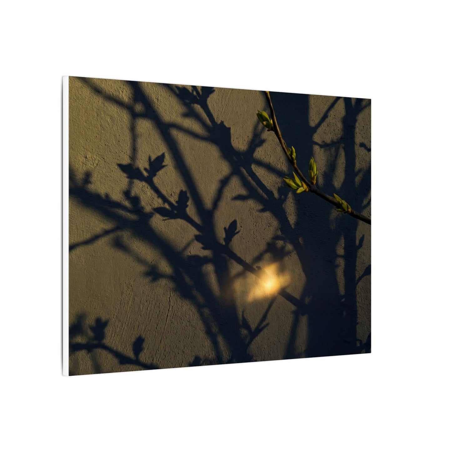 Bold Shadow Play Canvas Art - Moody Minimal Dark Japandi